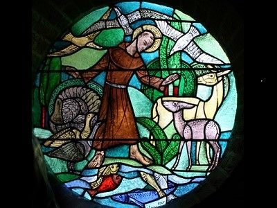 Dierendag-zegen bij de Egbertuskerk